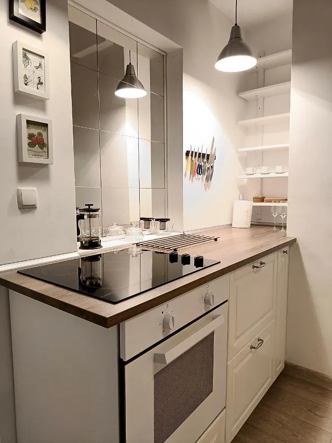 Newly Refurbished Apartment In The City Center Sofia Bulgaria